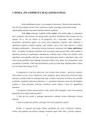 Rinka. Kaip ji atsiranda? 3 puslapis