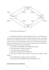 Rinka. Kaip ji atsiranda? 10 puslapis