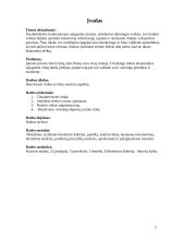 Rinka. Rinkos tyrimai 2 puslapis