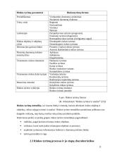 Rinka. Rinkos tyrimai 11 puslapis