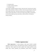 Rinka. Rinkos tyrimai 13 puslapis