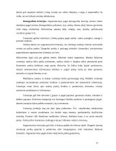 Rinka. Rinkos tyrimai 15 puslapis