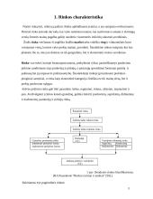 Rinka. Rinkos tyrimai 3 puslapis