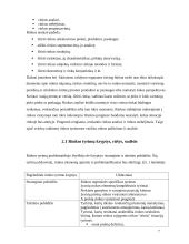 Rinka. Rinkos tyrimai 7 puslapis