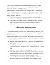 Rinka. Rinkos tyrimai 9 puslapis