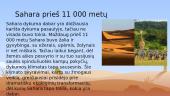 Klimato ir dirvožemio ypatumai Saharos dykumoje 6 puslapis