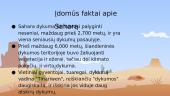 Klimato ir dirvožemio ypatumai Saharos dykumoje 7 puslapis