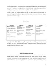 Siuntų pervežimo įmonės problemos ir tobulinimo galimybės 11 puslapis