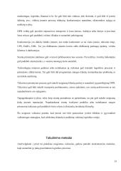 Siuntų pervežimo įmonės problemos ir tobulinimo galimybės 12 puslapis