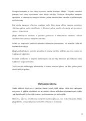 Siuntų pervežimo įmonės problemos ir tobulinimo galimybės 13 puslapis