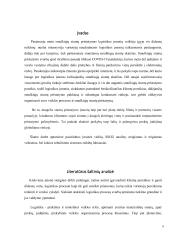 Siuntų pervežimo įmonės problemos ir tobulinimo galimybės 2 puslapis