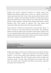 Siuntų pervežimo įmonės problemos ir tobulinimo galimybės 7 puslapis