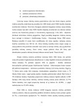 Rinkimai ir jų sistemos Lietuvoje 12 puslapis