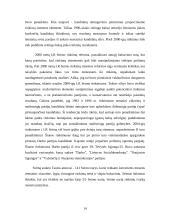 Rinkimai ir jų sistemos Lietuvoje 13 puslapis