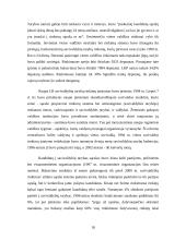 Rinkimai ir jų sistemos Lietuvoje 17 puslapis