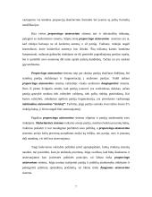 Rinkimai ir jų sistemos Lietuvoje 6 puslapis