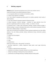 Rinkimai Lietuvoje 4 puslapis