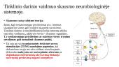 Retikulinės ir limbinės sistemos vaidmuo skausmo neurobiologinėje sistemoje 3 puslapis