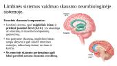 Retikulinės ir limbinės sistemos vaidmuo skausmo neurobiologinėje sistemoje 4 puslapis
