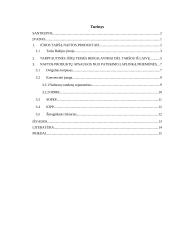 Tanklaiviais pervežamų naftos produktų apsaugos nuo patekimo į aplinką priemonės 2 puslapis