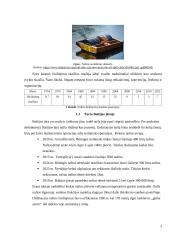 Tanklaiviais pervežamų naftos produktų apsaugos nuo patekimo į aplinką priemonės 5 puslapis