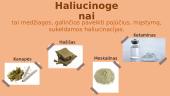 Skaidrės. Psichiką veikiančios medžiagos 5 puslapis