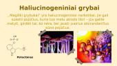 Skaidrės. Psichiką veikiančios medžiagos 6 puslapis