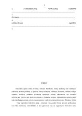 Rinkodaros priemonės 2 puslapis