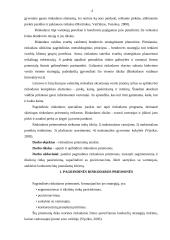 Rinkodaros priemonės 3 puslapis