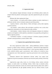Rinkodaros priemonės 6 puslapis