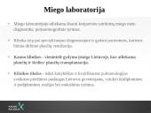 Miegas ir jo sutrikimai (skaidrės) 12 puslapis