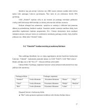 Rinkodaros priemonės: UAB "Omnitel" 17 puslapis