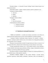 Rinkodaros priemonės: UAB "Omnitel" 5 puslapis