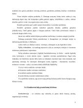 Rinkodaros priemonės: UAB "Omnitel" 6 puslapis