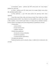 Rinkodaros priemonės: UAB "Omnitel" 8 puslapis