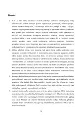 Pramogų industrijos pokyčio vertinimas pandemijos metu Lietuvoje gatvės šokių studijos kontekste 13 puslapis