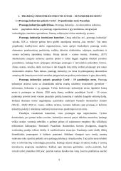 Pramogų industrijos pokyčio vertinimas pandemijos metu Lietuvoje gatvės šokių studijos kontekste 2 puslapis