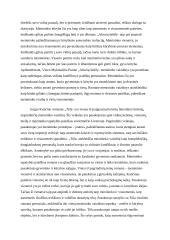 Menininko vaizdinys lietuvių literatūroje 2 puslapis