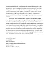 Menininko vaizdinys lietuvių literatūroje 4 puslapis