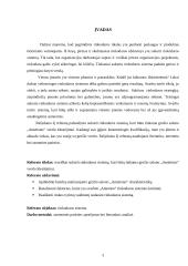 Rinkodaros sistemos kūrimas: grožio salonas "Ametistas" 2 puslapis