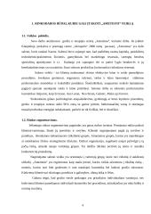 Rinkodaros sistemos kūrimas: grožio salonas "Ametistas" 3 puslapis