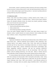 Rinkodaros sistemos kūrimas: grožio salonas "Ametistas" 6 puslapis