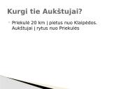 Ieva Simonaitytė. Aukštųjų Šimonių likimas 8 puslapis