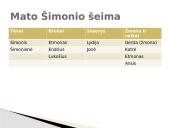 Ieva Simonaitytė. Aukštųjų Šimonių likimas 9 puslapis