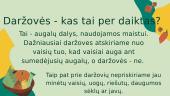 Viskas apie daržoves 2 puslapis