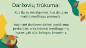Viskas apie daržoves 4 puslapis