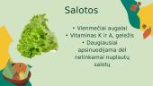 Viskas apie daržoves 6 puslapis