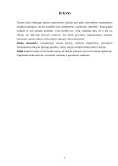 Rinkos ekonomika: jos privalumai ir trūkumai 4 puslapis