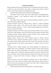 Rinkos ekonomika: jos privalumai ir trūkumai 5 puslapis