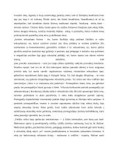 Konstruktyvizmo principai ir kritika 13 puslapis